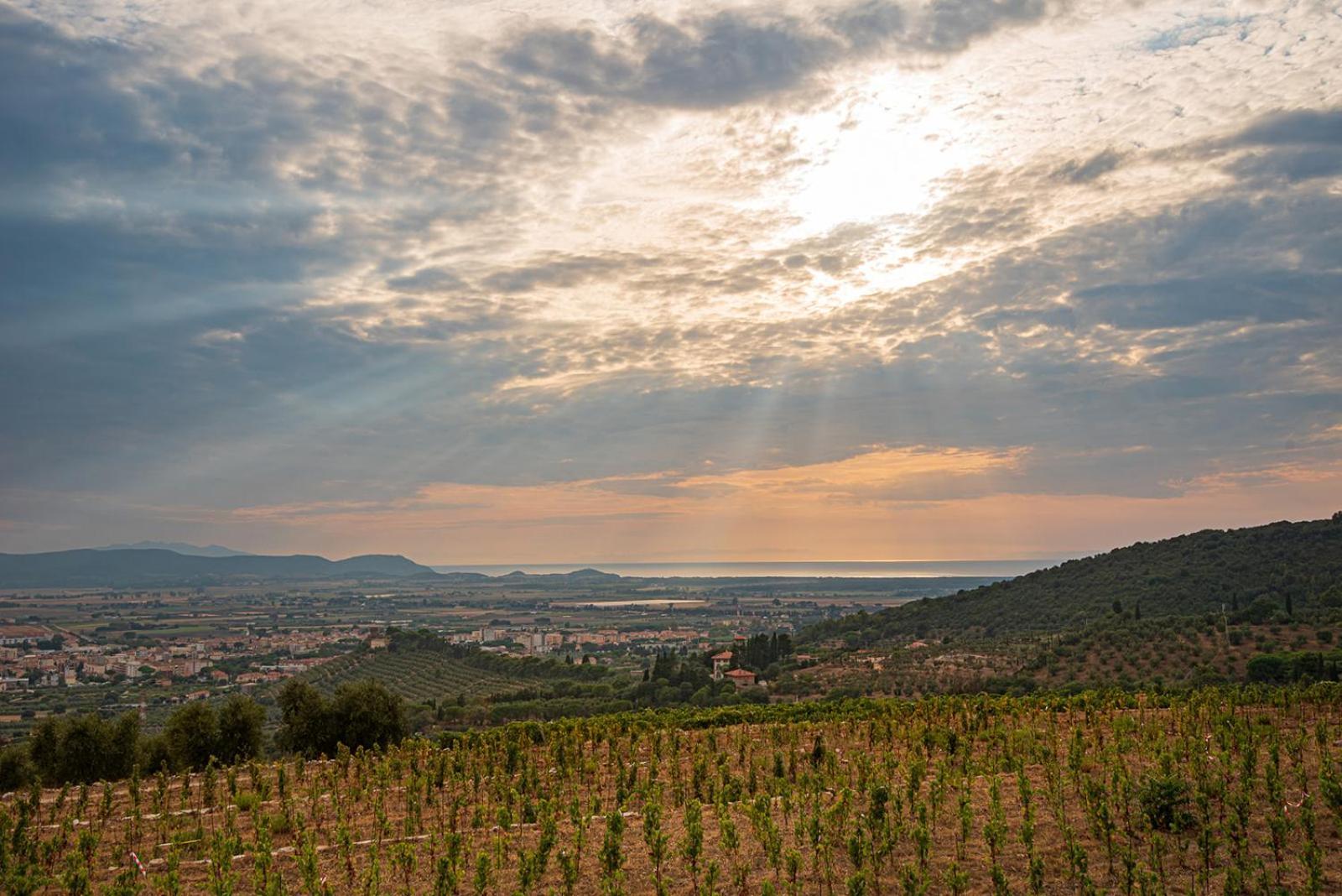 Castello Bonaria Wine & Spa Resort Campiglia Marittima Exteriér fotografie